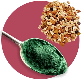 Frutos Secos & Suplementos